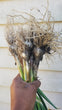 Garlic (full plant, not cured)