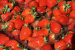 Hyper-local Strawberries (Detroit Grown)